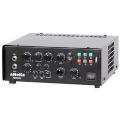 Atak ER200 Anfi 200 Watt Ekho Reverb